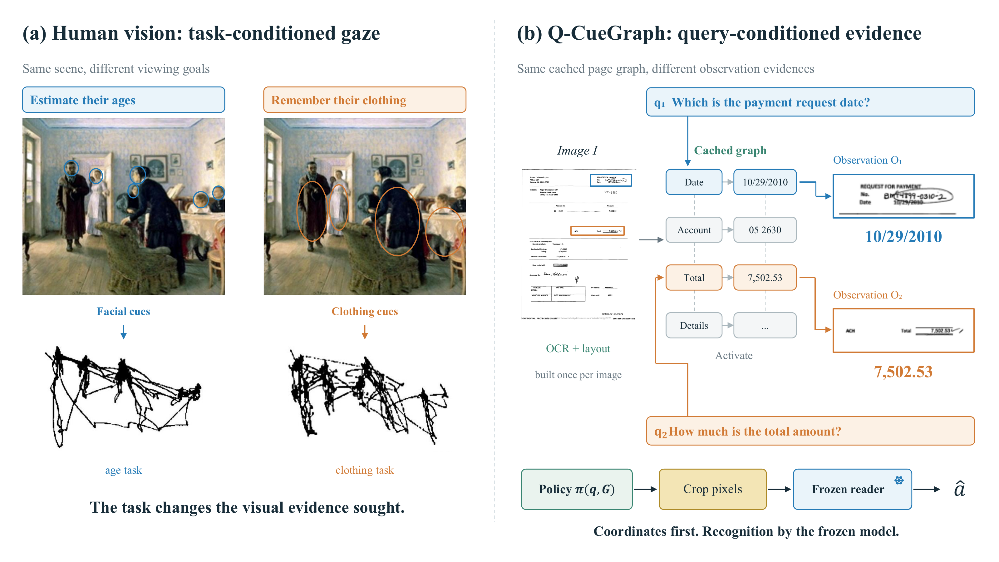 Human task-conditioned gaze and Q-CueGraph query-conditioned visual evidence